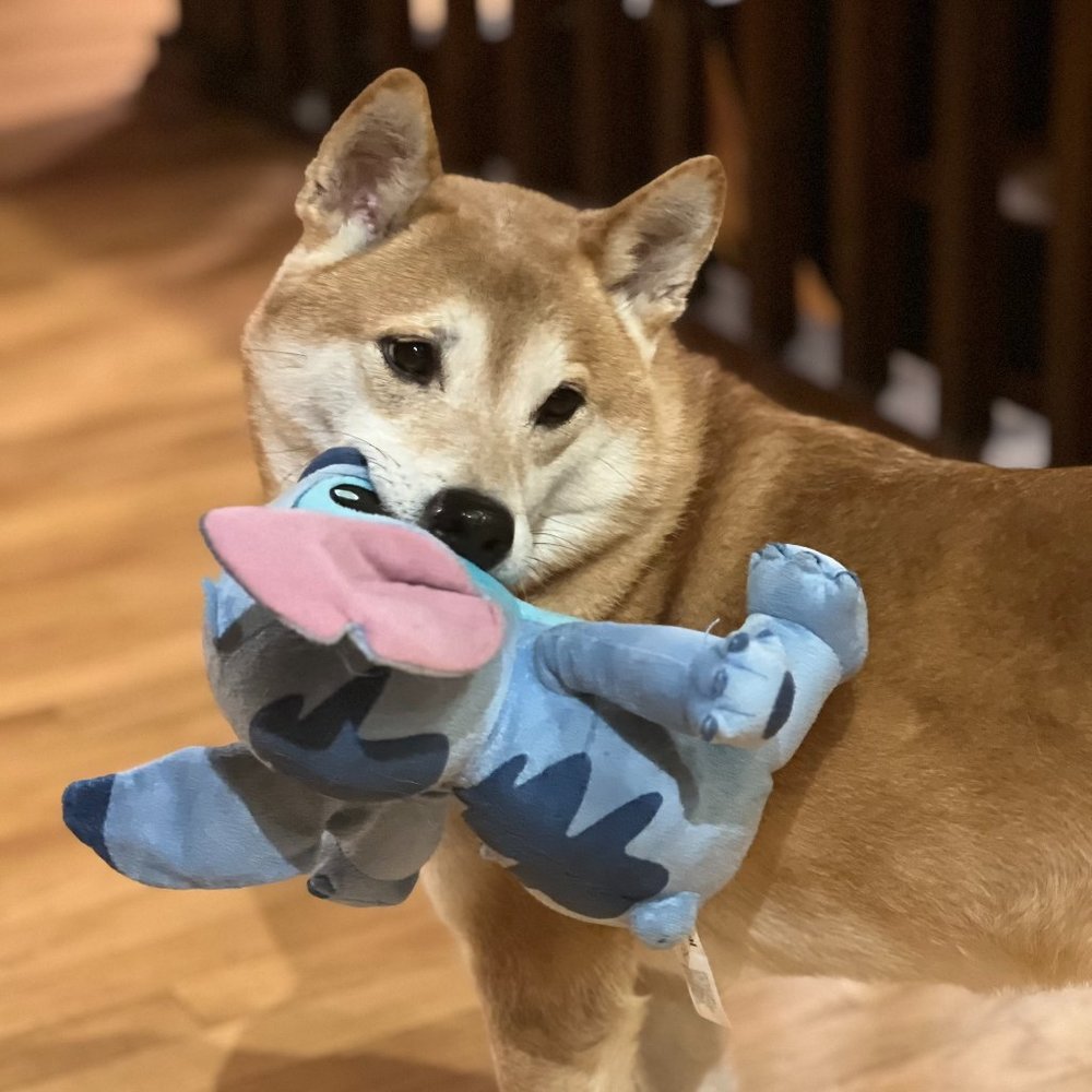 Meet your Posher, Tammy